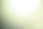 thumbnail image of ART002-E-28241