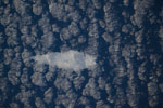 thumbnail image of ISS071-E-581939