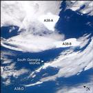 View Image Information