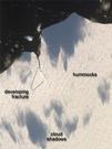 View Image Information