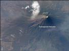 View Image Information