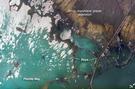 View Image Information