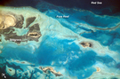 View Image Information