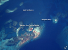 View Image Information