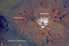 View Image Information
