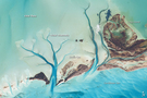 View Image Information