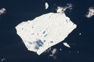 View Image Information