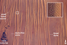 View Image Information
