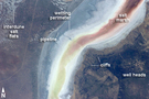 View Image Information