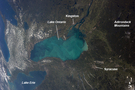 View Image Information