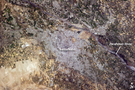 View Image Information