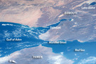 View Image Information