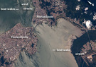 View Image Information