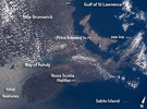 View Image Information
