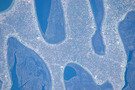 View Image Information