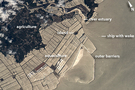 View Image Information