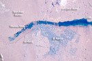 View Image Information