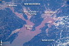 View Image Information