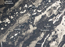 View Image Information
