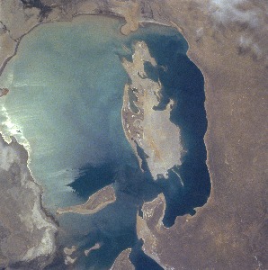 View Image Information