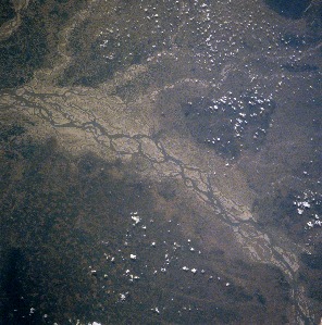 View Image Information