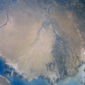 View Image Information