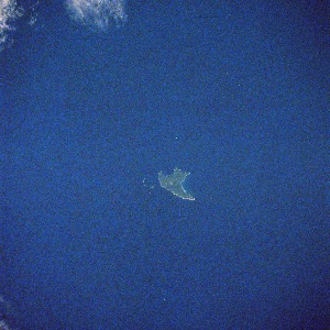 View Image Information