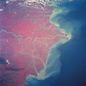 View Image Information