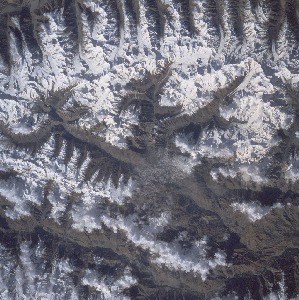 View Image Information