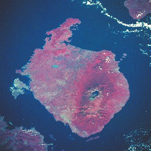 View Image Information