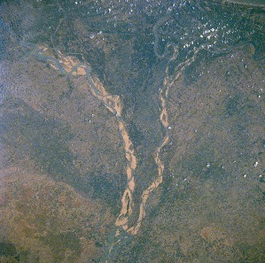 View Image Information