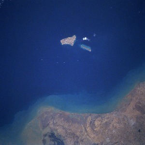 View Image Information