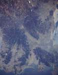 View Image Information