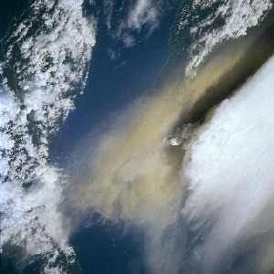 View Image Information