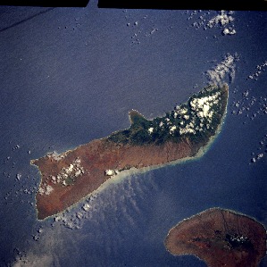View Image Information
