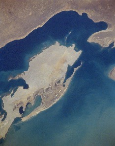 View Image Information
