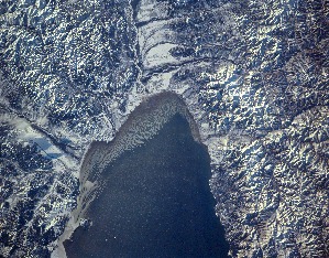 View Image Information