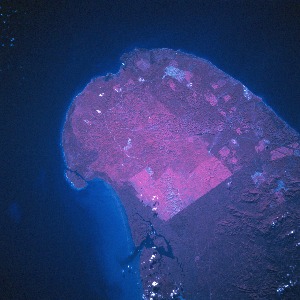 View Image Information