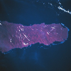 View Image Information