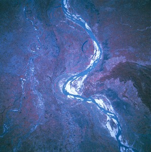 View Image Information