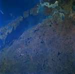 View Image Information