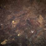 View Image Information