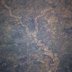 View Image Information