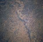 View Image Information