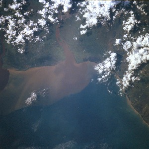 View Image Information