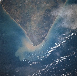 View Image Information