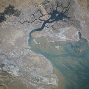 View Image Information