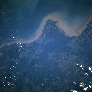View Image Information