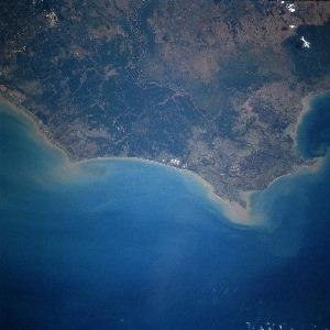 View Image Information