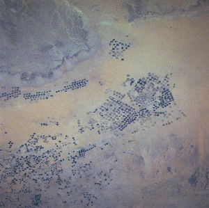 View Image Information